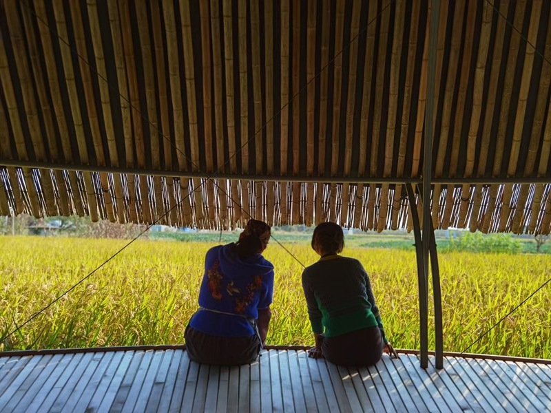 在上海,這些農(nóng)場(chǎng)正越來越受歡迎