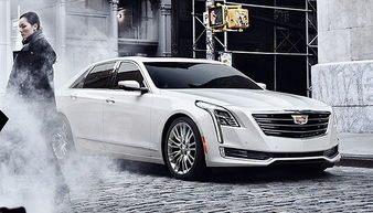 界 鑒 2015風(fēng)云 界面癮擎年度汽車(chē)評(píng)選 慎入 史上最長(zhǎng)