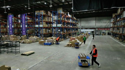 強信心 開新局 跨境電商 加速跑 直擊上海港進出口商品中轉(zhuǎn)倉